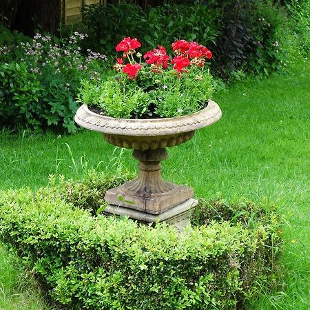 Three Ivy Cross Bed & Breakfast ชาฟท์สบรี ภายนอก รูปภาพ